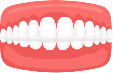 Deep Bite